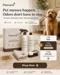 Pawvera Pet Stain + Odor Rescue System