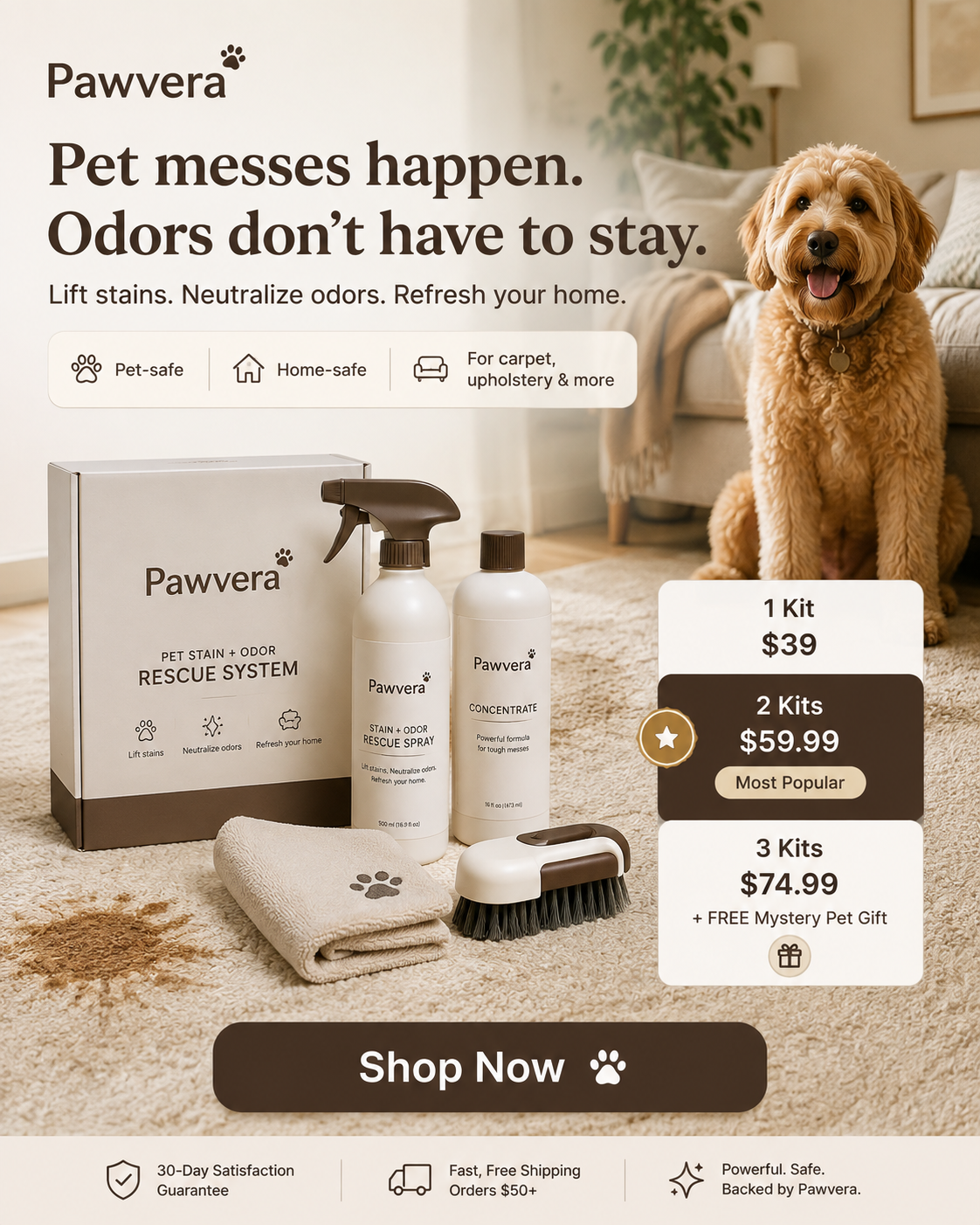 Pawvera Pet Stain + Odor Rescue System